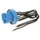 Purchase Top-Quality Connecteur lumière de plafonnier par BLUE STREAK (HYGRADE MOTOR) - HP3940 pa2