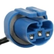 Purchase Top-Quality Connecteur lumière de plafonnier par BLUE STREAK (HYGRADE MOTOR) - HP3940 pa6