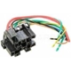 Purchase Top-Quality Connecteur lumière de plafonnier par BLUE STREAK (HYGRADE MOTOR) - HP4195 pa1
