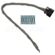 Purchase Top-Quality Headlamp Connector by BLUE STREAK (HYGRADE MOTOR) - S1010 pa12
