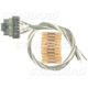 Purchase Top-Quality Headlamp Connector by BLUE STREAK (HYGRADE MOTOR) - S1146 pa14