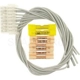 Purchase Top-Quality Headlamp Connector by BLUE STREAK (HYGRADE MOTOR) - S1362 pa5