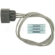 Purchase Top-Quality Connecteur lumière de plafonnier par BLUE STREAK (HYGRADE MOTOR) - S1445 pa18