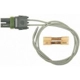 Purchase Top-Quality Connecteur lumière de plafonnier by BLUE STREAK (HYGRADE MOTOR) - S1593 pa20