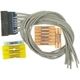 Purchase Top-Quality Headlamp Connector by BLUE STREAK (HYGRADE MOTOR) - S1636 pa9