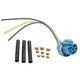 Purchase Top-Quality Connecteur lumière de plafonnier de BLUE STREAK (HYGRADE MOTOR) - S1915 pa1
