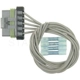 Purchase Top-Quality Connecteur lumière de plafonnier par BLUE STREAK (HYGRADE MOTOR) - S2018 pa16