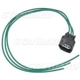 Purchase Top-Quality Connecteur lumière de plafonnier par BLUE STREAK (HYGRADE MOTOR) - S2031 pa11