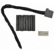 Purchase Top-Quality Connecteur lumière de plafonnier de BLUE STREAK (HYGRADE MOTOR) - S2185 pa10