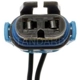 Purchase Top-Quality BLUE STREAK (HYGRADE MOTOR) - S523 - Headlamp Connector pa3
