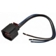 Purchase Top-Quality Connecteur lumière de plafonnier par BLUE STREAK (HYGRADE MOTOR) - S899 pa12