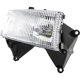 Purchase Top-Quality DORMAN - 1590521 - Headlight Assembly pa8