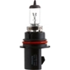 Purchase Top-Quality Phare par PHILIPS - 9004LLC1 pa19