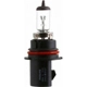 Purchase Top-Quality Phare par PHILIPS - 9004LLC1 pa31