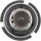 Purchase Top-Quality Phare par PHILIPS - 9004PRB1 pa31