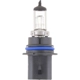 Purchase Top-Quality Phare par PHILIPS - 9004VPB1 pa26