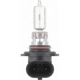 Purchase Top-Quality Phare par PHILIPS - 9005C1 pa39