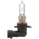 Purchase Top-Quality Phare par PHILIPS - 9005PRB2 pa2