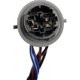 Purchase Top-Quality Headlight Socket by DORMAN/TECHOICE - 645-745 pa12