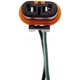 Purchase Top-Quality Headlight Socket by DORMAN/TECHOICE - 645-745 pa15