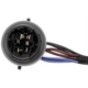 Purchase Top-Quality Headlight Socket by DORMAN/TECHOICE - 645-745 pa17