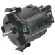 Purchase Top-Quality Headlight Switch by BLUE STREAK (HYGRADE MOTOR) - DS1368 pa2