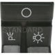Purchase Top-Quality Headlight Switch by STANDARD/T-SERIES - DS290T pa2