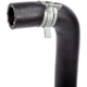 Purchase Top-Quality DORMAN - 626-528 - Engine Heater Hose Assembly pa2