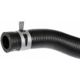 Purchase Top-Quality DORMAN (OE SOLUTIONS) - 626-551 - Heater Hose Assembly pa2