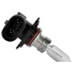 Purchase Top-Quality ACDELCO - 9005LL - Halogen Bulb pa2