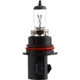 Purchase Top-Quality Phare de route par PHILIPS - 9004LLC1 pa2