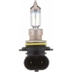 Purchase Top-Quality High Beam Headlight by PHILIPS - 9006XVB1 pa39