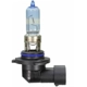 Purchase Top-Quality WAGNER - BP9005LBLX2 - High Beam Headlight pa3