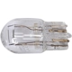 Purchase Top-Quality ACDELCO - 13503361 - Halogen Bulb pa1