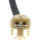 Purchase Top-Quality High Mount Brake Light by BLUE STREAK (HYGRADE MOTOR) - BTL153 pa5