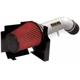 Purchase Top-Quality High Performance Air Filter Intake Kit by AEM INDUCTION - 21-8000DP pa11