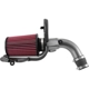 Purchase Top-Quality High Performance Air Filter Intake Kit by AEM INDUCTION - 21-805C pa2