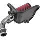 Purchase Top-Quality High Performance Air Filter Intake Kit by AEM INDUCTION - 21-805C pa5