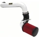 Purchase Top-Quality High Performance Air Filter Intake Kit by AEM INDUCTION - 21-8223DP pa13