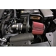 Purchase Top-Quality High Performance Air Filter Intake Kit by AEM INDUCTION - 21-858C pa4