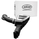 Purchase Top-Quality Kit d'admission de filtre à air haute performance par AIRAID - 450-356 pa32