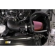 Purchase Top-Quality High Performance Air Filter Intake Kit by AIRAID - 451-378 pa29