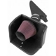 Purchase Top-Quality High Performance Air Filter Intake Kit by K & N ENGINEERING - 57-9025 pa8