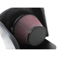 Purchase Top-Quality High Performance Air Filter Intake Kit by K & N ENGINEERING - 77-9039KP pa12