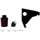 Purchase Top-Quality Kit d'admission de filtre à air haute performance par MISHIMOTO AUTOMOTIVE - MMAIE46-99BK pa1