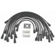 Purchase Top-Quality High Performance Ignition Wire Set by BLUE STREAK - 10009 pa4