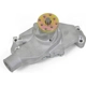 Purchase Top-Quality High Performance Water Pump by WEIAND - 9208 pa1