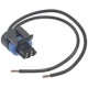 Purchase Top-Quality Hood Ajar Indicator Switch Connector by BLUE STREAK (HYGRADE MOTOR) - HP3840 pa25