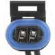 Purchase Top-Quality Hood Ajar Indicator Switch Connector by BLUE STREAK (HYGRADE MOTOR) - HP3840 pa26