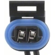 Purchase Top-Quality Hood Ajar Indicator Switch Connector by BLUE STREAK (HYGRADE MOTOR) - HP3840 pa29